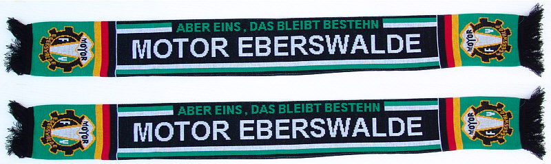 Fanschal_Eberswalde_gross